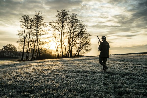 Quelles sont les meilleures périodes pour la chasse et la pêche en France ? Blog Introduction: